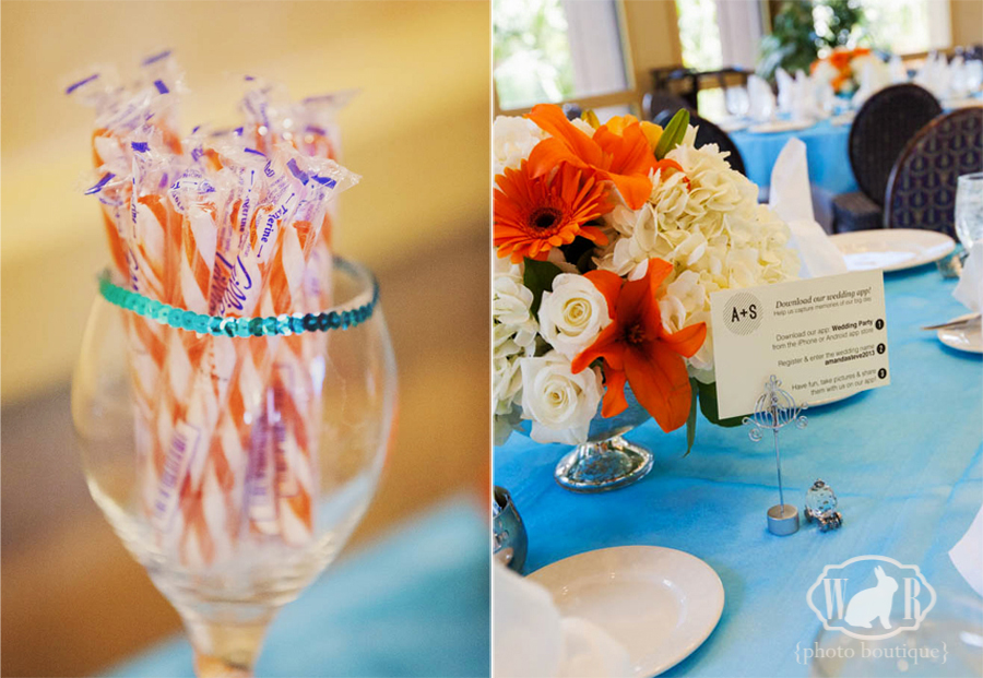 sleeping beauty pavilion, orange and blue wedding colors and a sweet candy bar treat