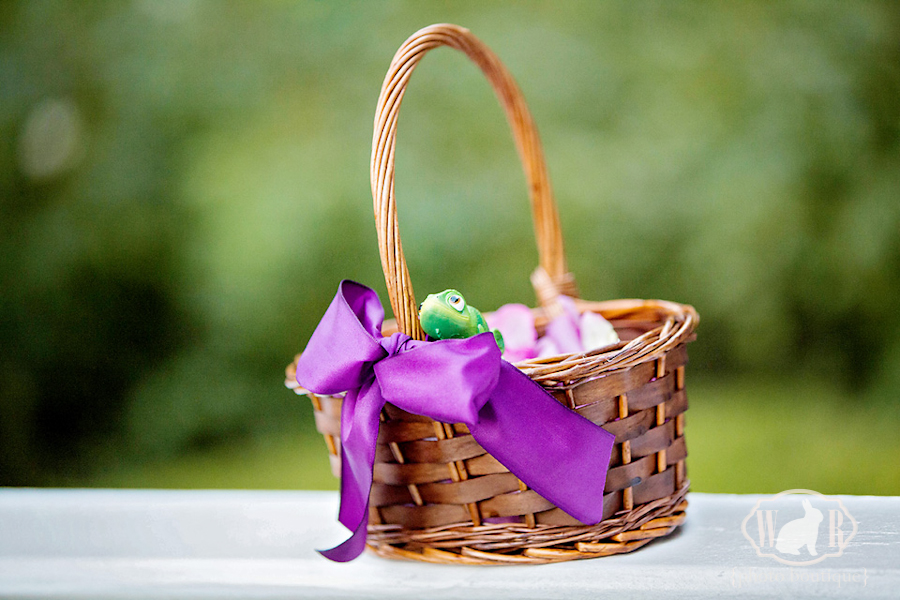 Tangled Inspired Wedding Flower girl basket