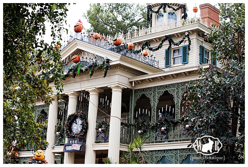 Disneyland Halloween Decorations - White Rabbit Photo Boutique