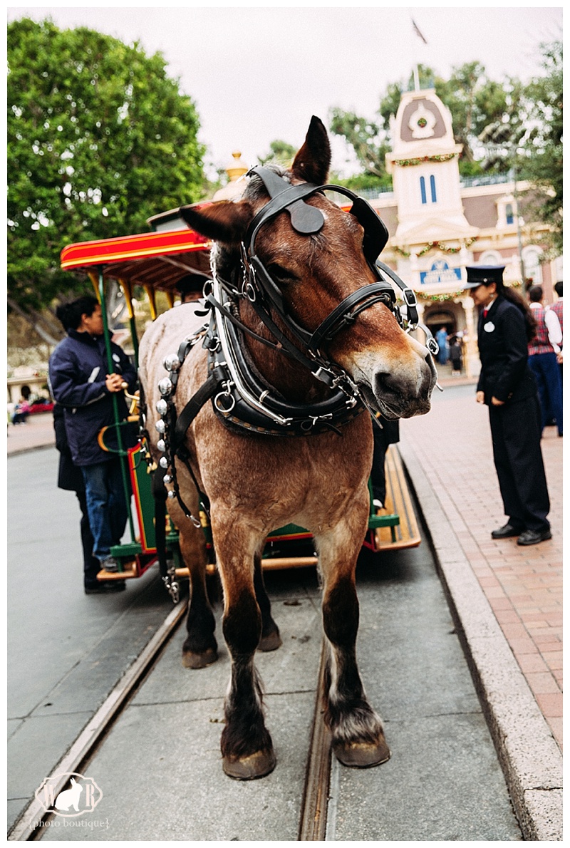 Disneyland Main Street Horse Carriage Engagement Session