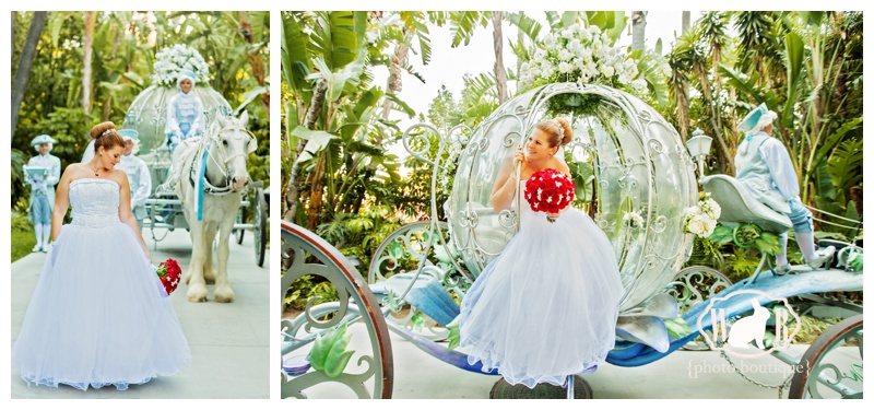 Disneyland Hotel Wedding Cinderella Crystal Coach 