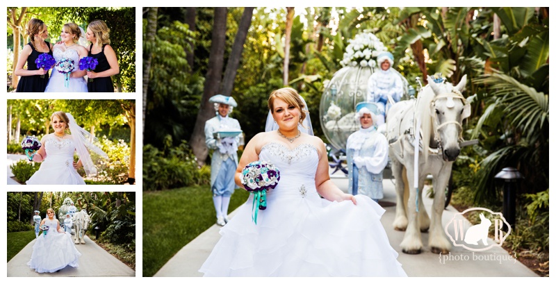 cinderella carriage wedding photos, rose court garden wedding, orange county wedding photographer