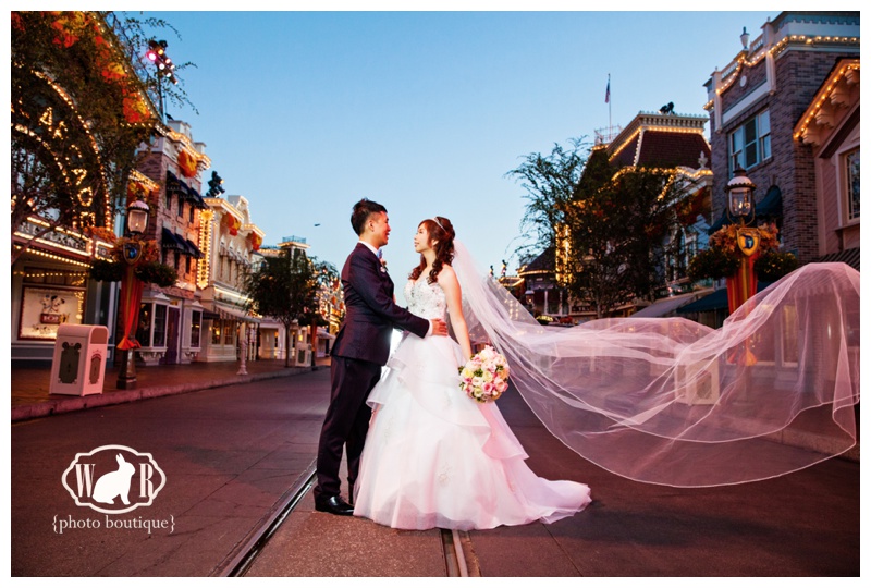 Disneyland Castle Wedding, Fairytale Wedding