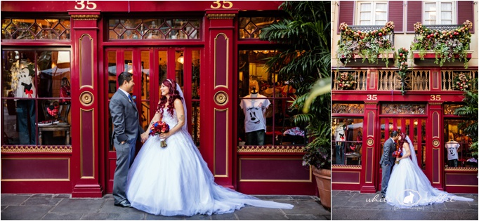 Haunted Mansion and Sleeping Beauty Castle Wedding Shoot