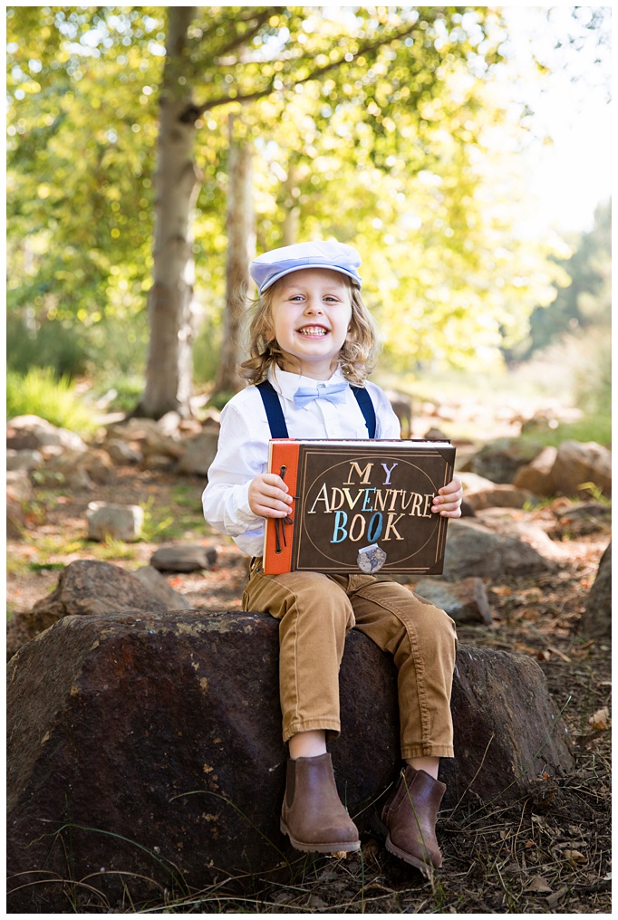 Up Themed Mini Sessions