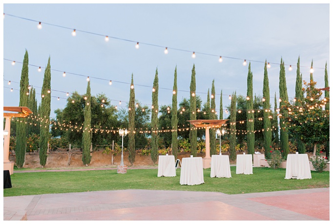 Palomar Winery Wedding