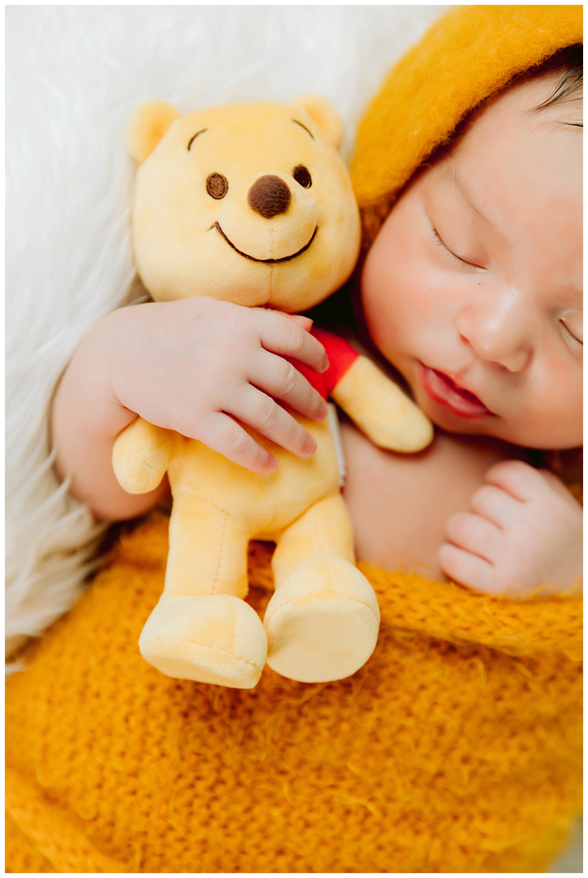 Winnie the Pooh Themed Disney Newborn Photography ideas and inspiration by White Rabbit Photo Boutique