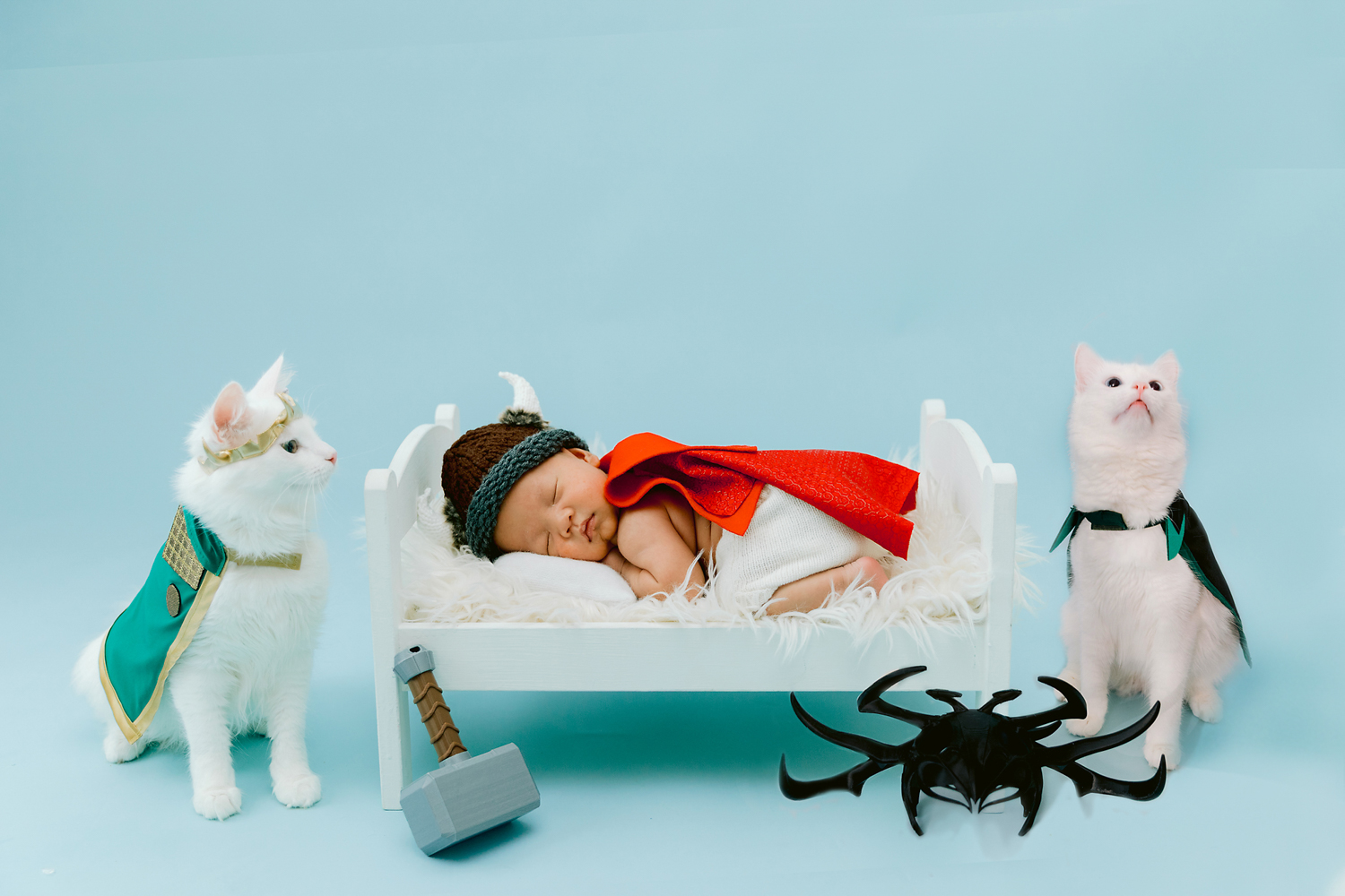 Newborn session including family cats in Loki inspired portraits