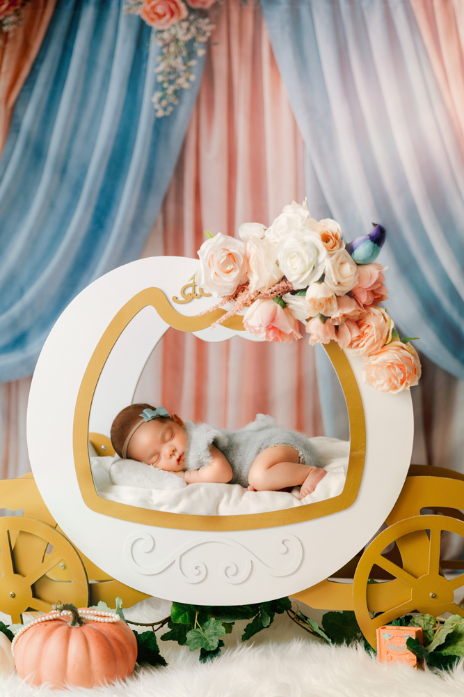 Cinderella Themed Newborn Photos