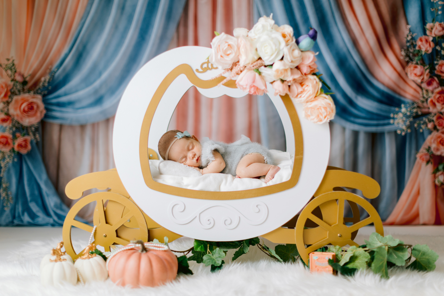 Cinderella Themed Newborn Photos
