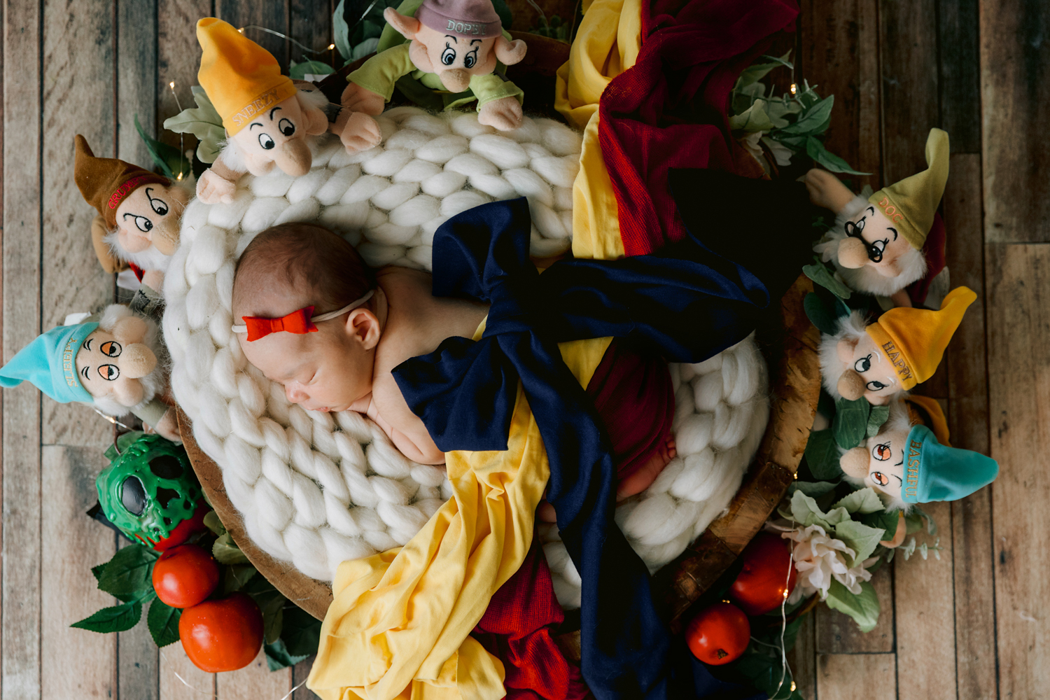 Snow White Newborn Photography Session