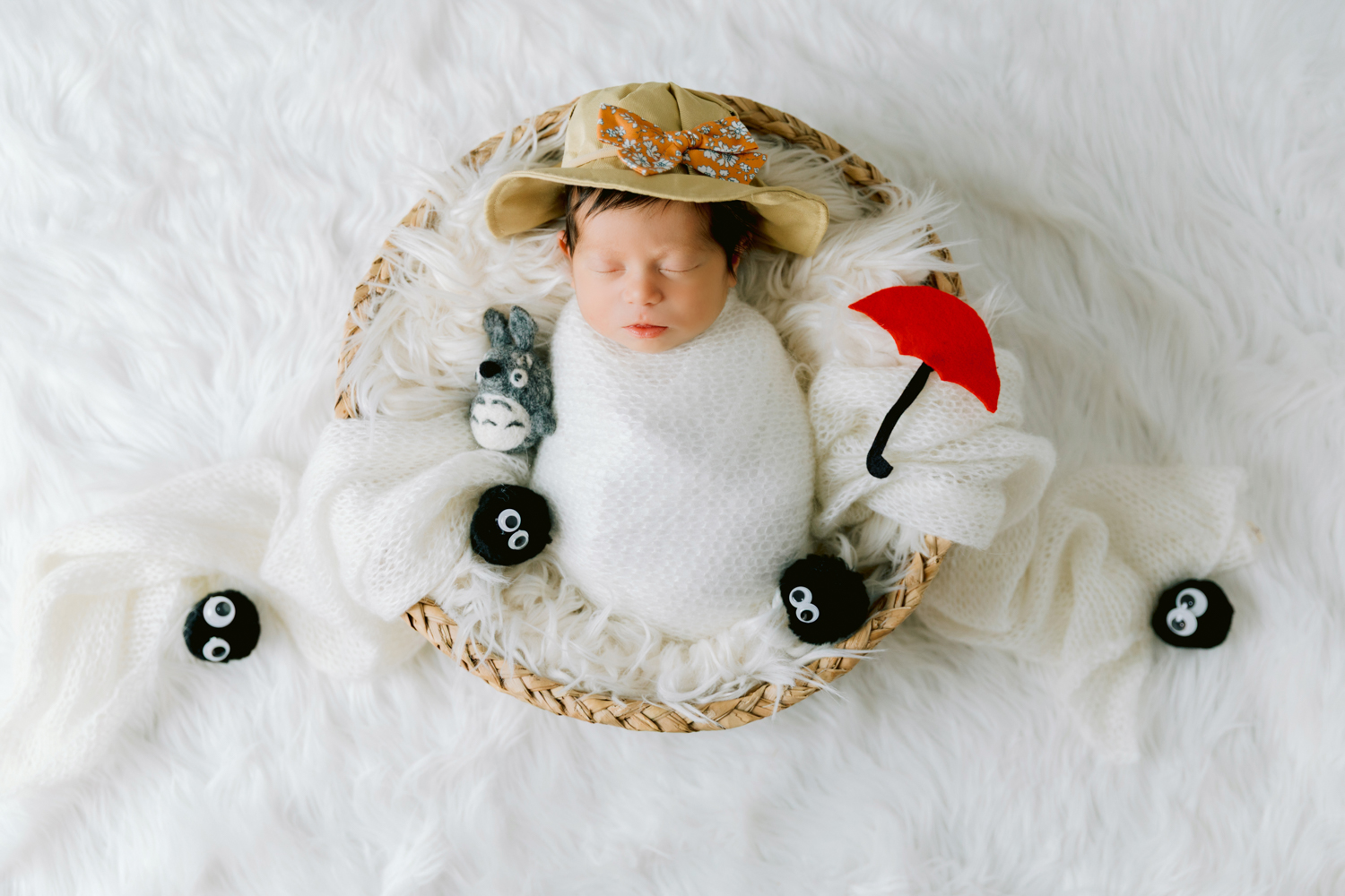 Orange County Newborn Photographer Totoro