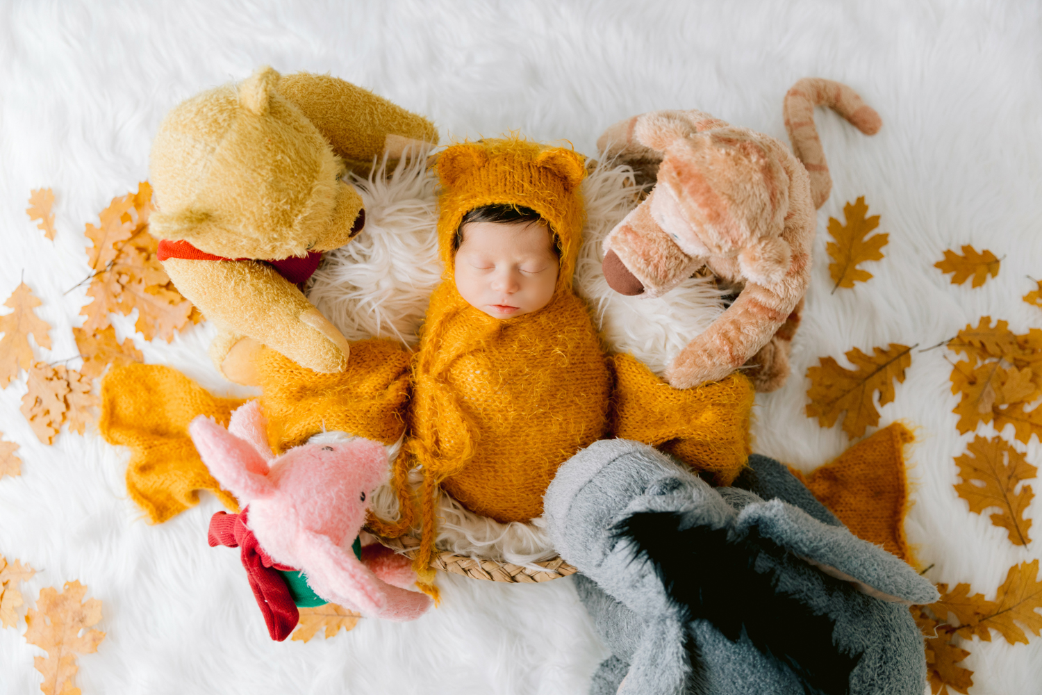 Whimsical Disney Newborn Photography – Orange County