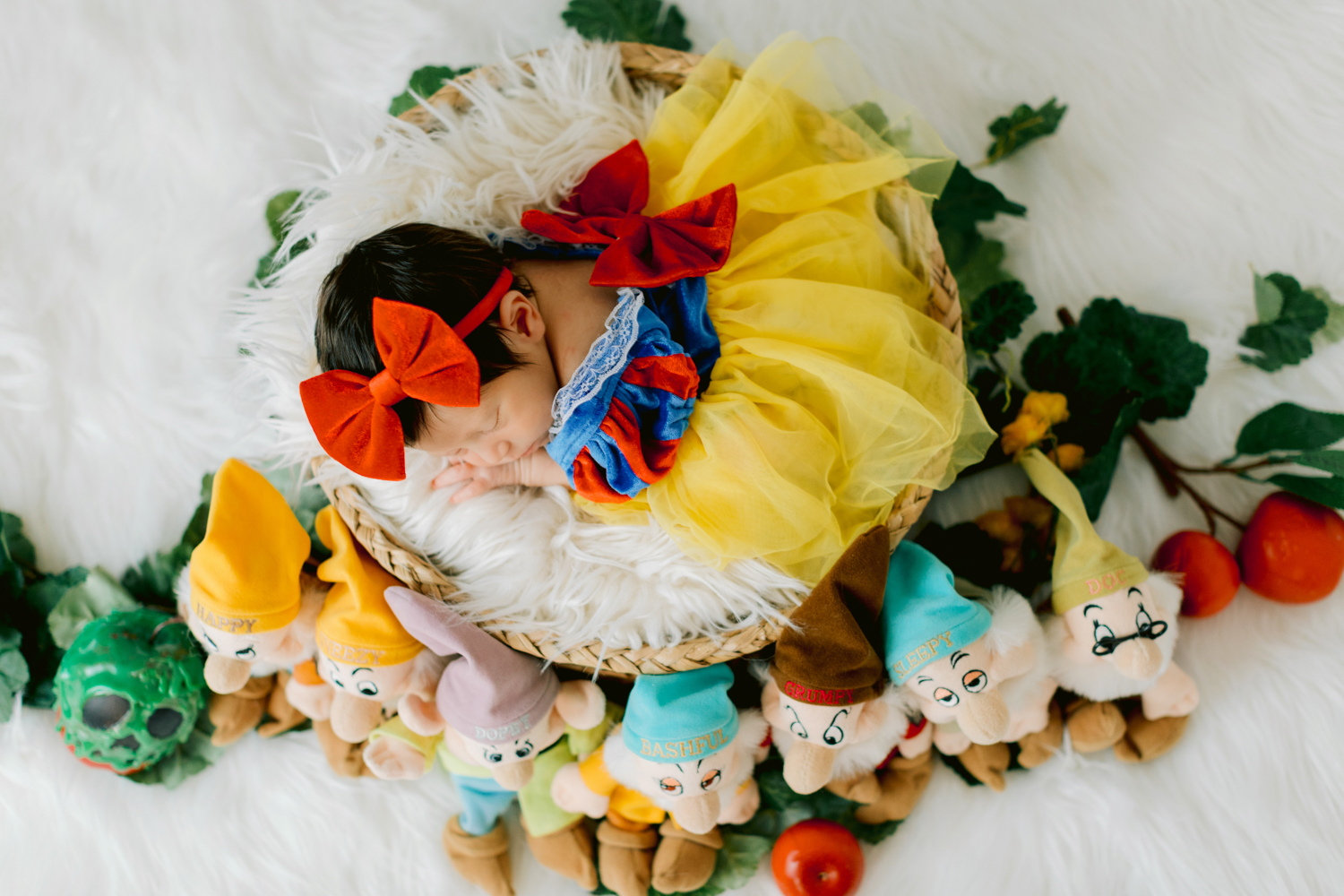 Snow White Inspired Newborn Photography – Orange County