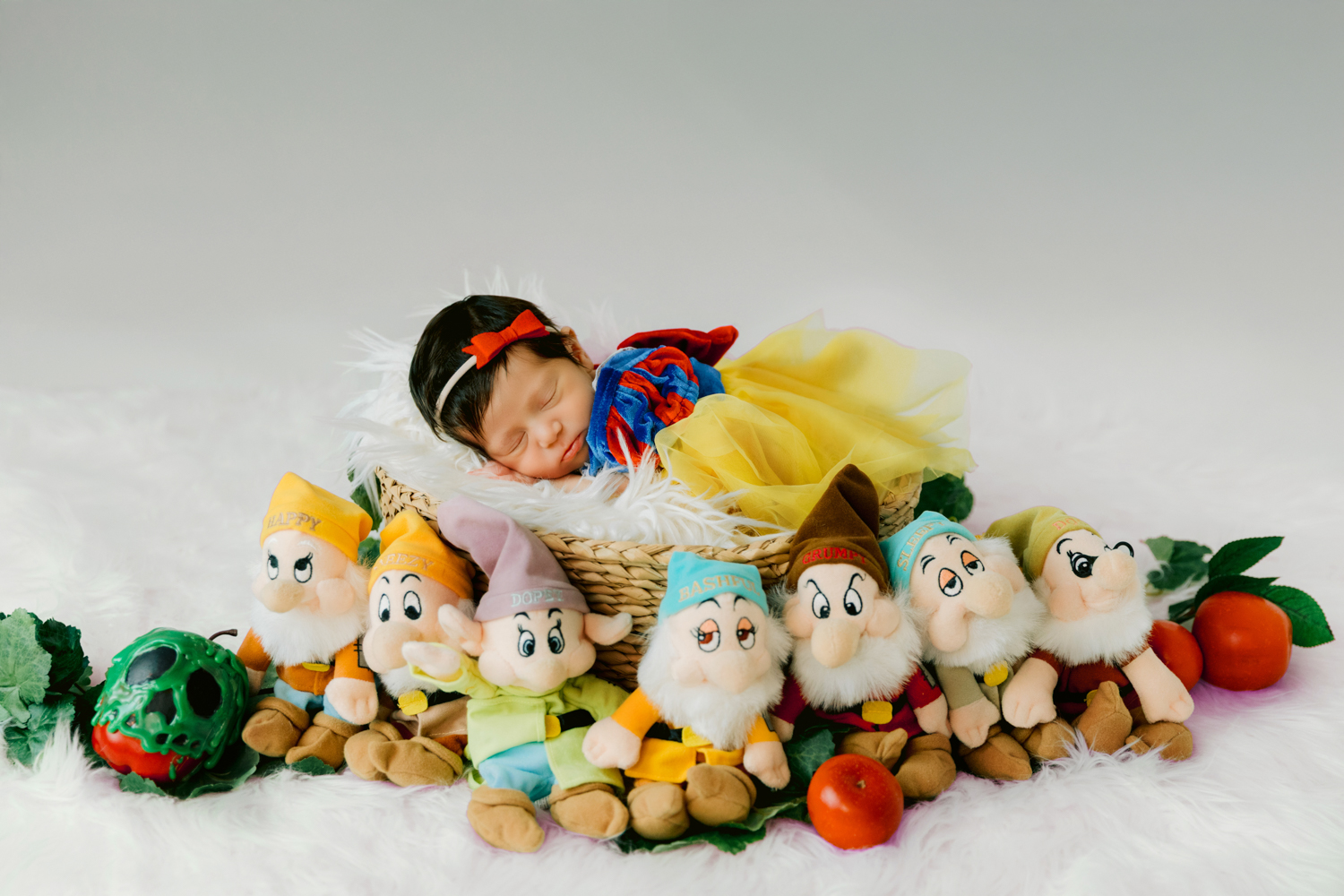 Snow White Inspired Newborn Photography – Orange County